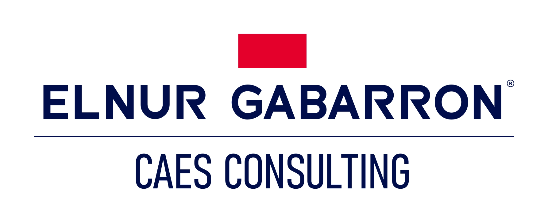 Elnur Gabarron CAES Consulting